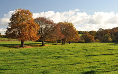 CarbÔmauges : Allard TP, première entreprise des Mauges à participer