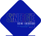 synergie-mauges.fr