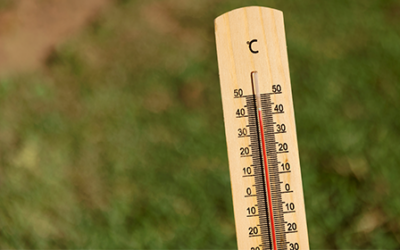 Canicule et sécheresse : les mesures en cours dans les Mauges