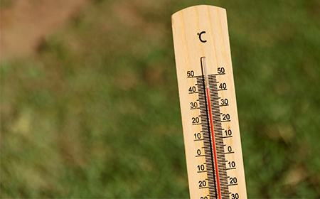 Canicule et sécheresse : les mesures en cours dans les Mauges