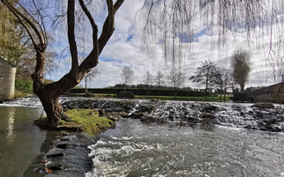 Préservons l’eau, notre patrimoine commun