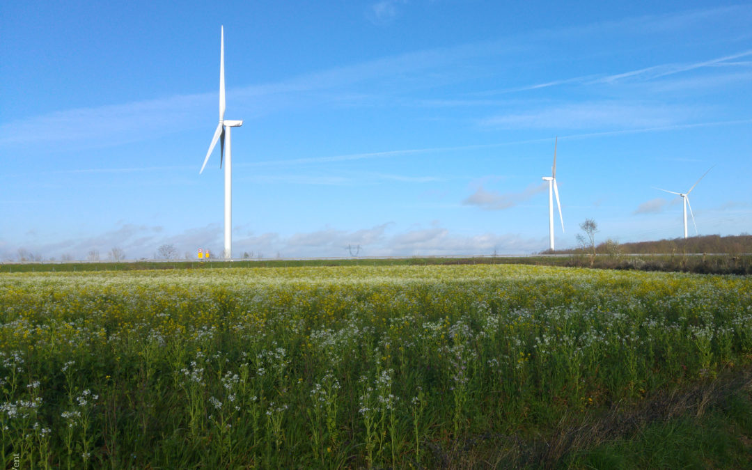 Une offre d’électricité Mauges 100 % locale et renouvelable